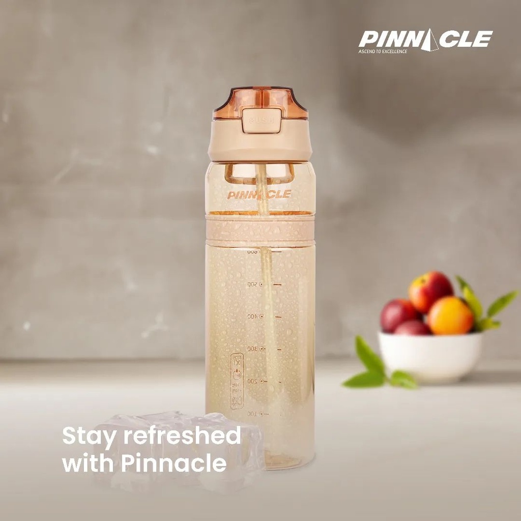 Bouteille d'eau Pinnacle 850 ml Marron