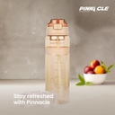 Bouteille d'eau Pinnacle 850 ml Marron