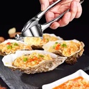 Presse Ail En Acier Inoxydable SHENGYA 18Cm