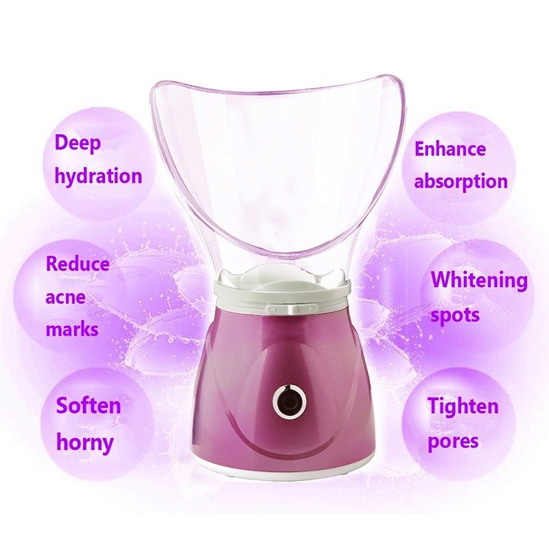 Vaporisateur Facial Lexical 130W Rose