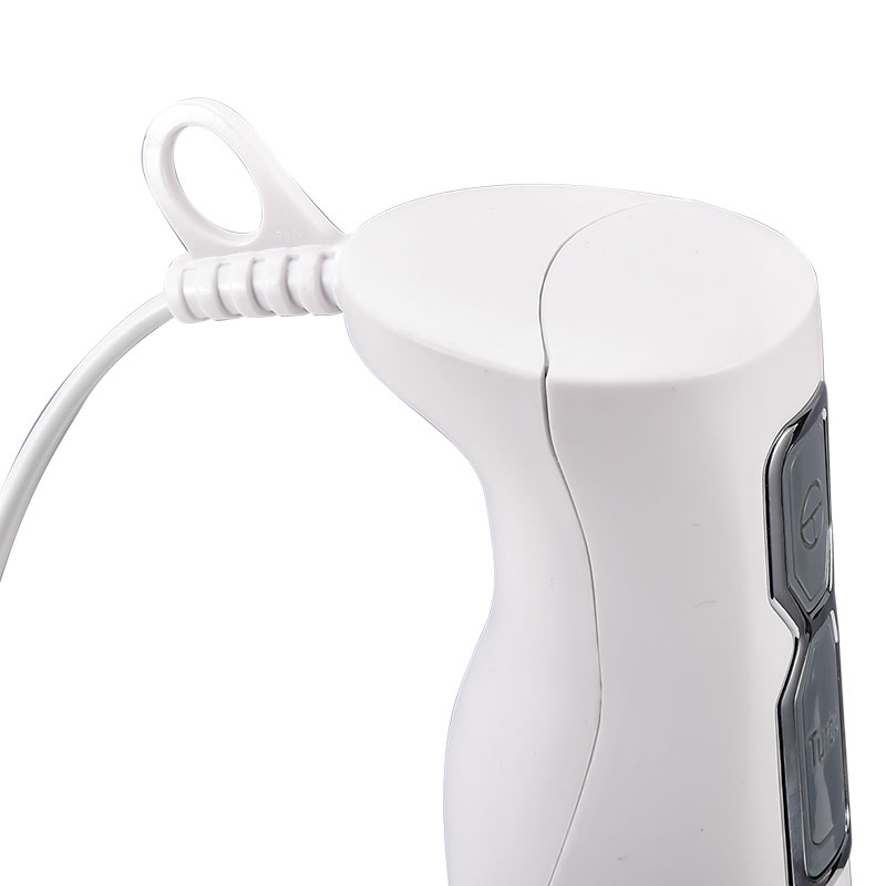 Mixeur Plongeant Lexical 250W Blanc
