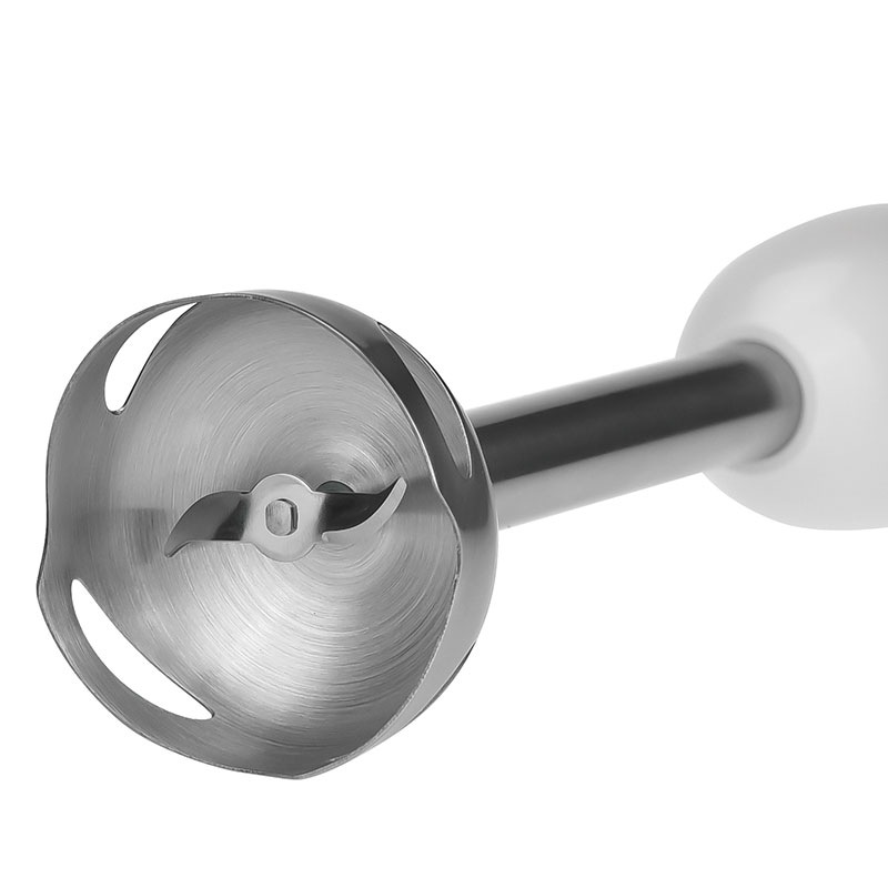 Mixeur Plongeant Lexical 250W Blanc