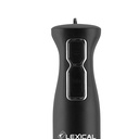 Mixeur Plongeant Lexical 250W Noir 