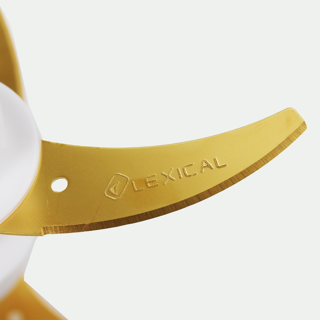 Hachoir Electrique En Inox 8L Lexical 800W