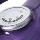 Fer a Repasser Florence 2200W Violet