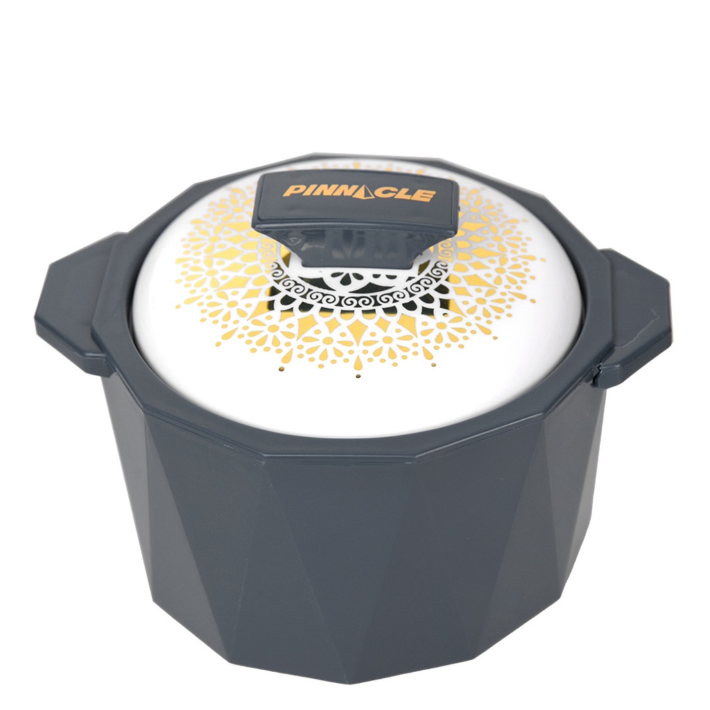 Ensemble de 4 Boites Isotherme Pinnacle Gris