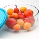 Boîtes de conservation Frigoverre Rond Bormioli Rocco 310 CL