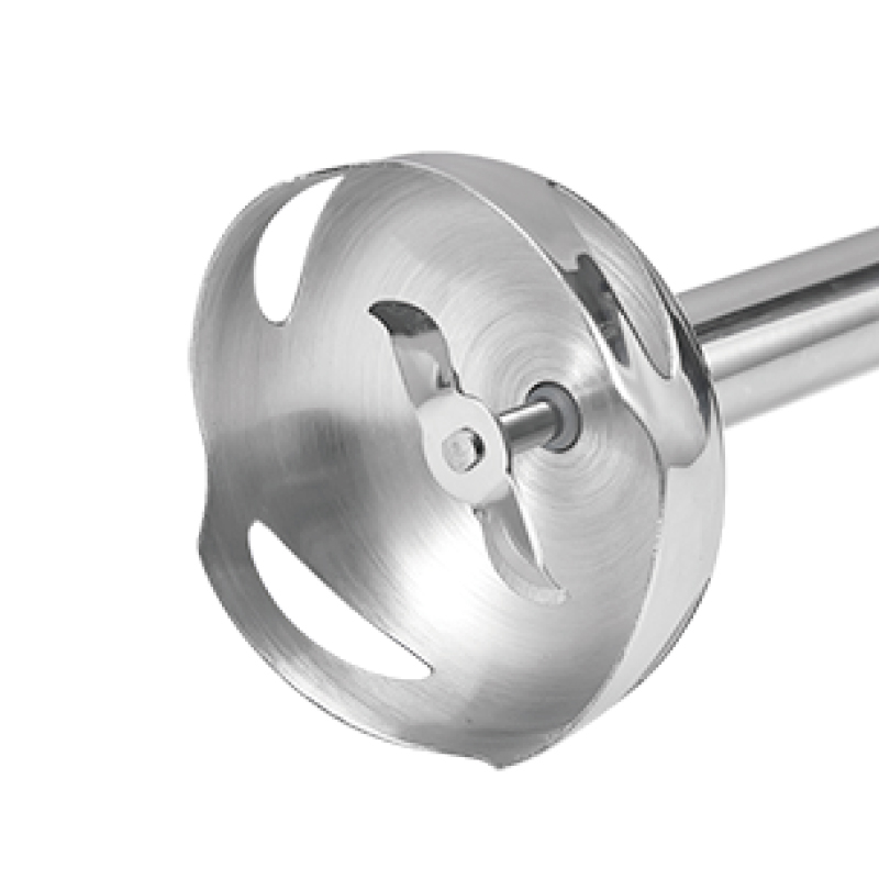 Mixeur Plongeant Lexical 250W Blanc