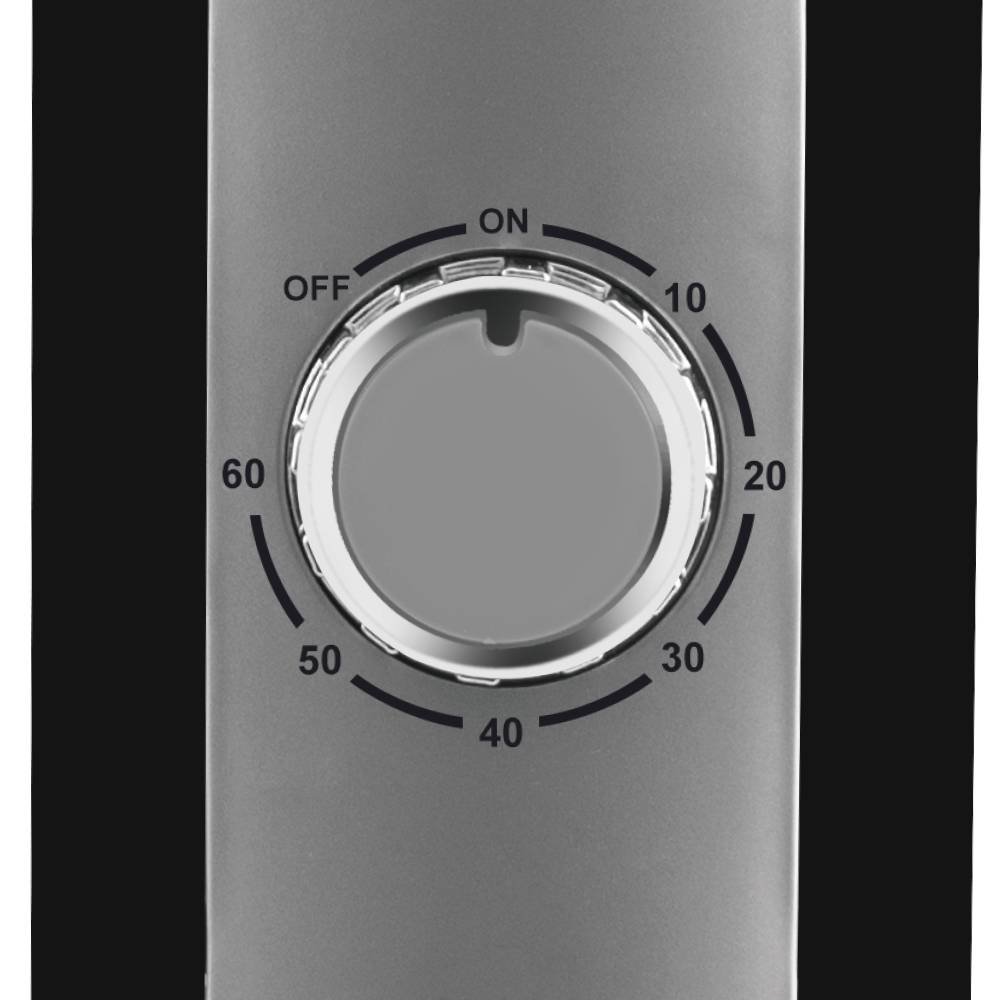 Ventilateur sur Pied 80W Noir 