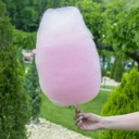 Machine à Barbe à Papa Techwood 500W, Simple & Sécurisée – TBAP-505