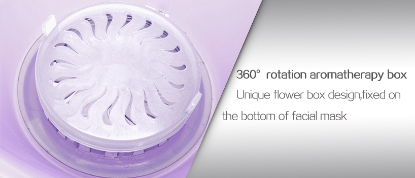 Sauna Facial Ionique Techwood 45ml, 2 Positions Vapeur & Accessoires Complets – TSF-618