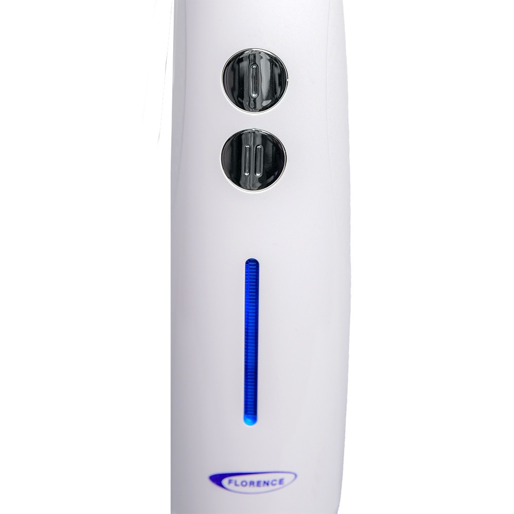 Mixeur Plongeant Florence 250W Blanc