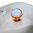 Marmite à Soupe Multifonction Antiadhésive 10 litre - 28 cm