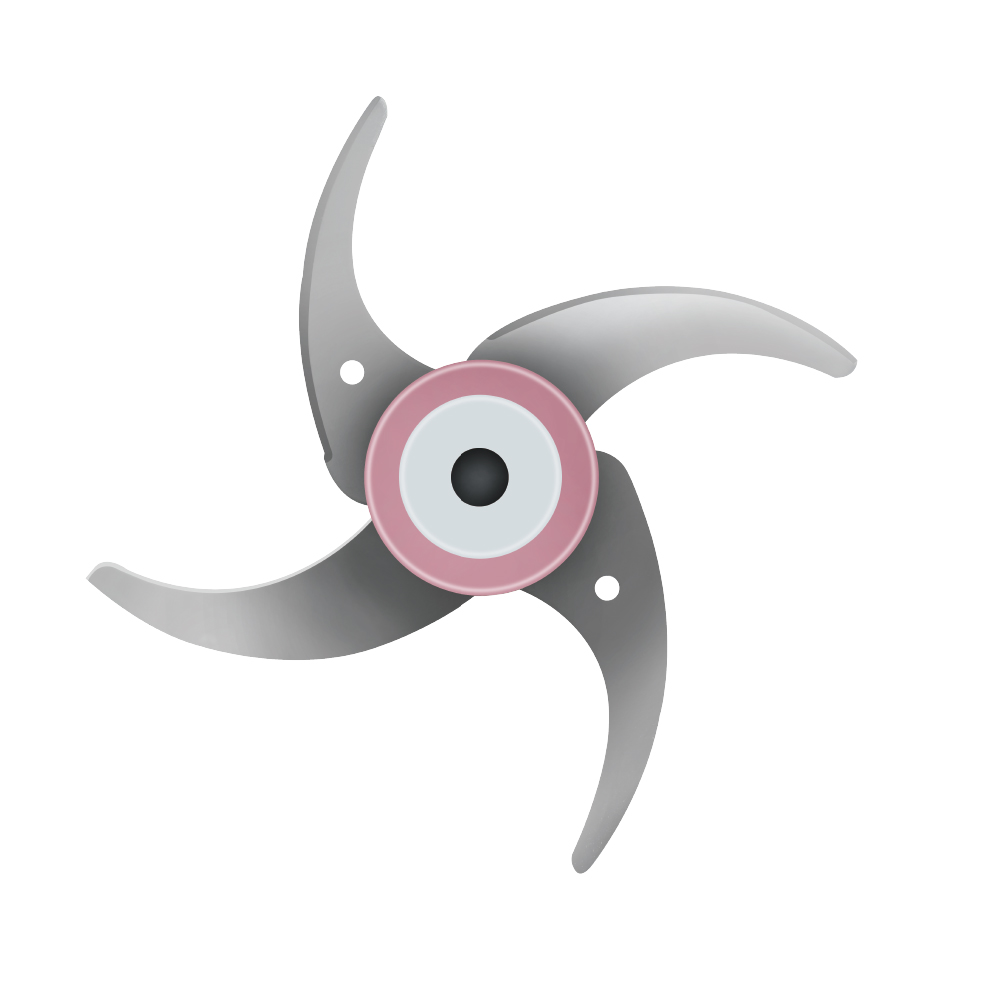 Hachoir En Plastique Lexical 300W Rose