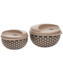 Ensemble de 3 Boites Isotherme Pinnacle 0,5/1/2 L Beige