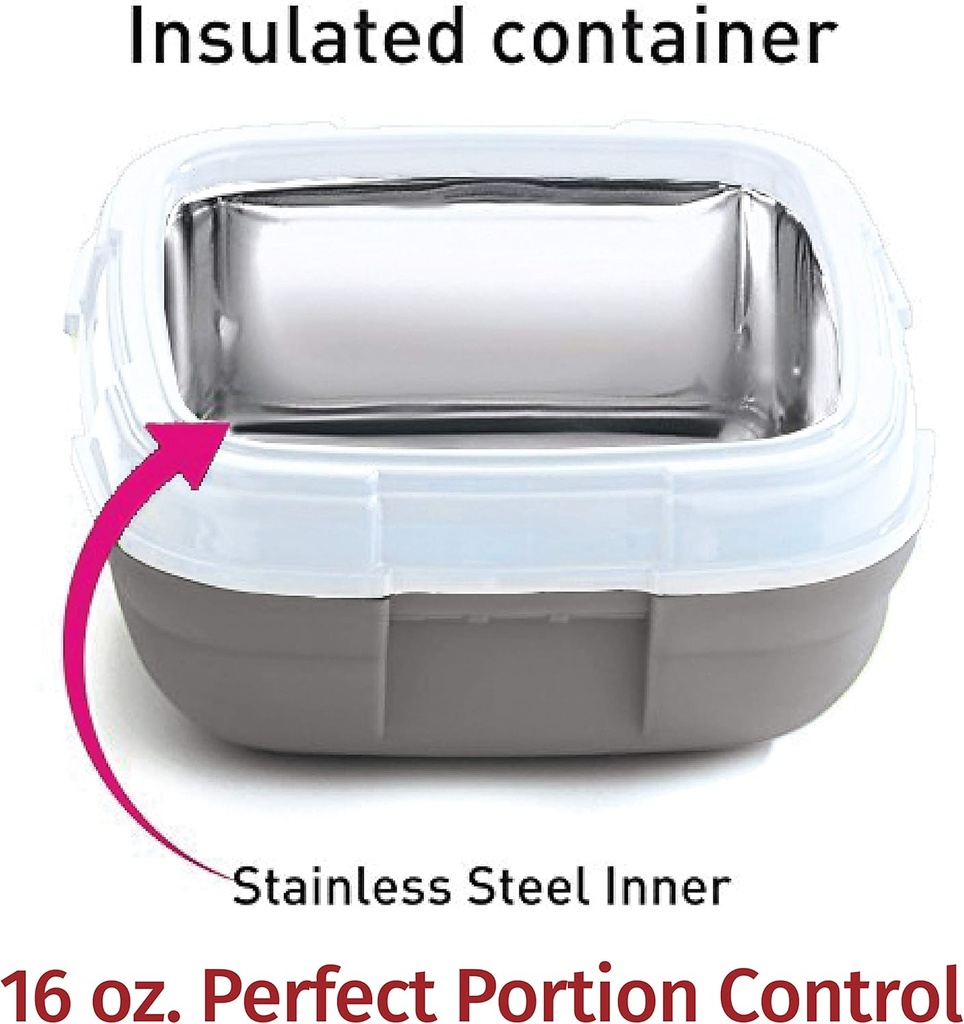 Lunch Box Isotherme Pinnacle 500 ml Gris