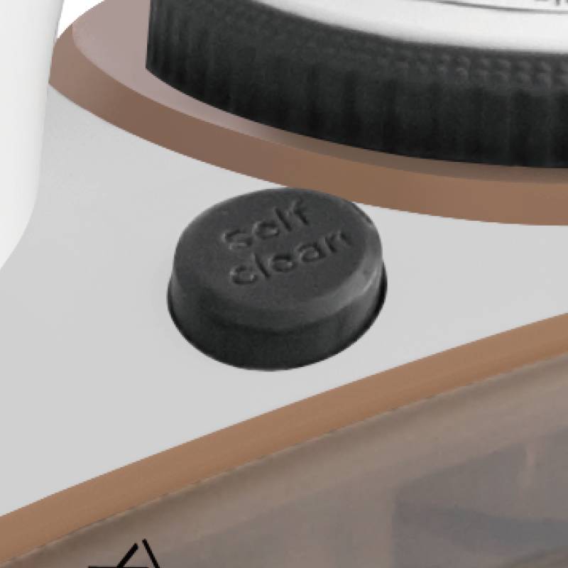 Fer à Repasser à Vapeur Lexical 2200 W Beige