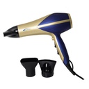 Coffret Cheveux 12 en 1 Florence 2200W 