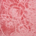 Couverture 1 Place 160/220 Dolce Vita -M11 Rose