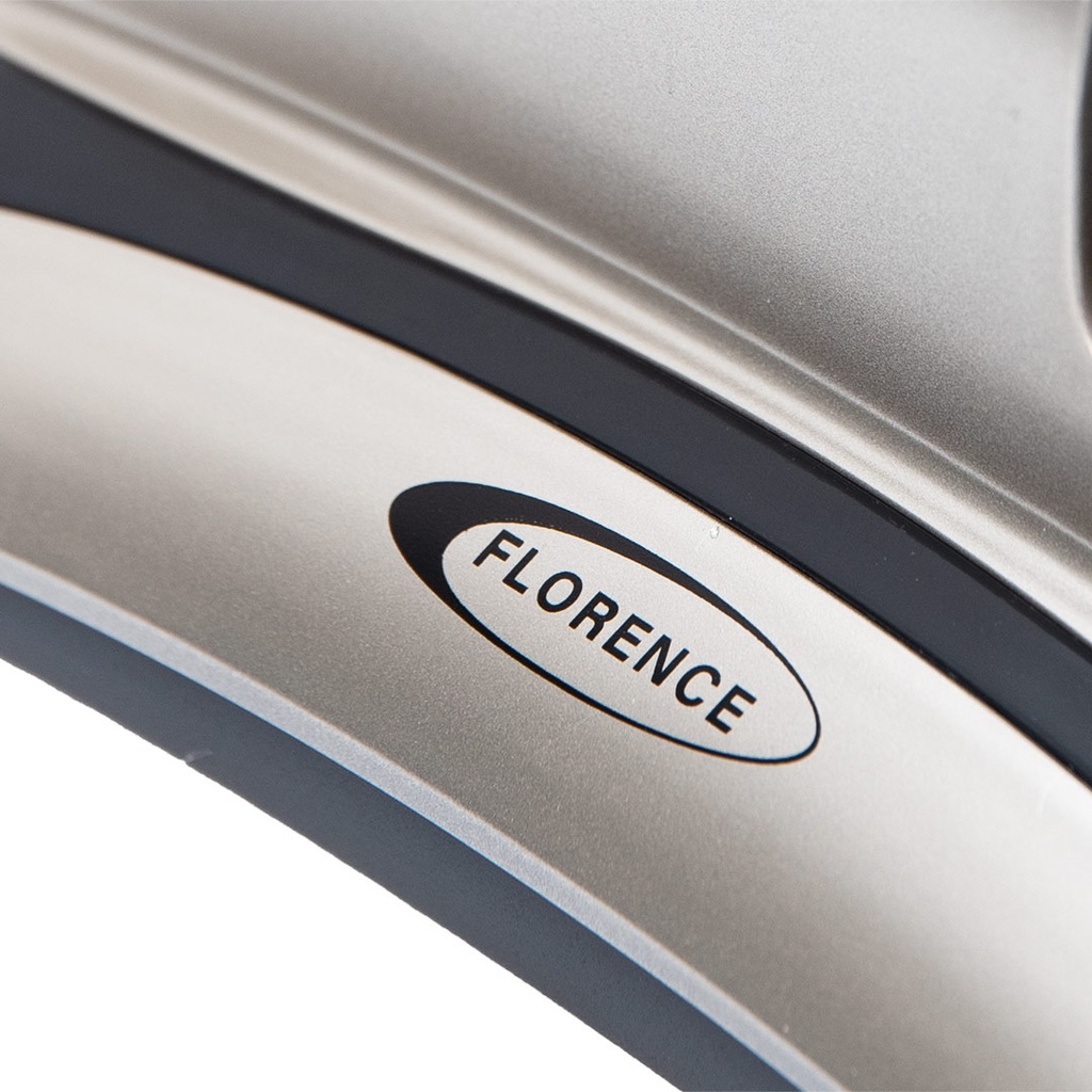 Mini Aspirateur Sans Fil Florence de Matelas et Nettoyeur de Lit 250W Doré