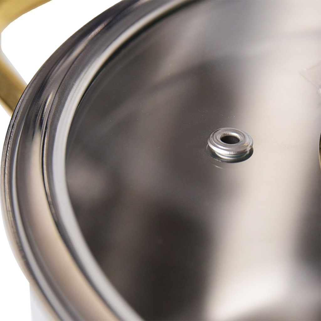 Marmite Vivaldi Tombo 26 cm Inox 18/10 Doré