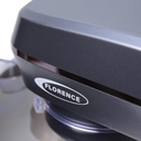 Robot Petrin Florence 10L 2200W Gris 